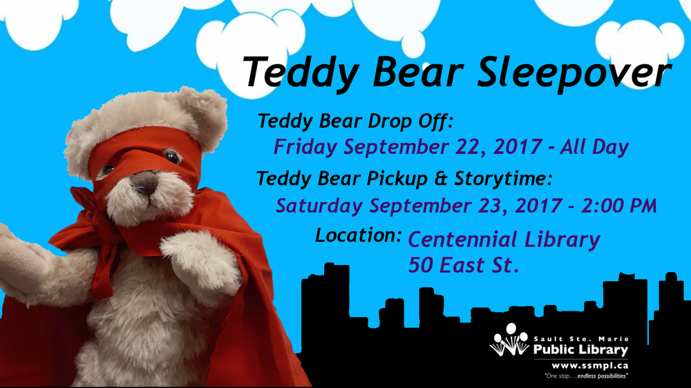 Teddy Bear Sleepover 