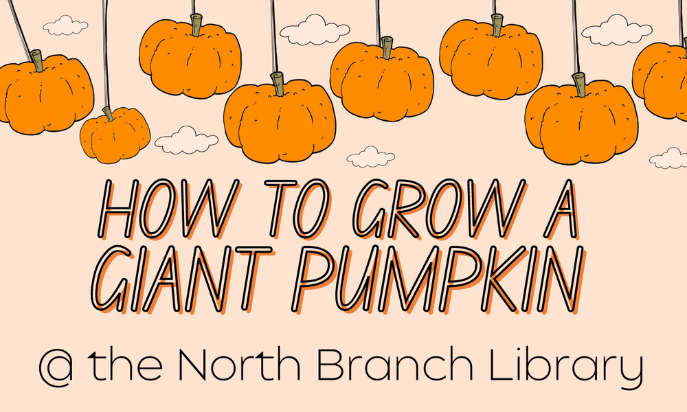 Title image: How to grow a giant pumpkin at the North Branch Library