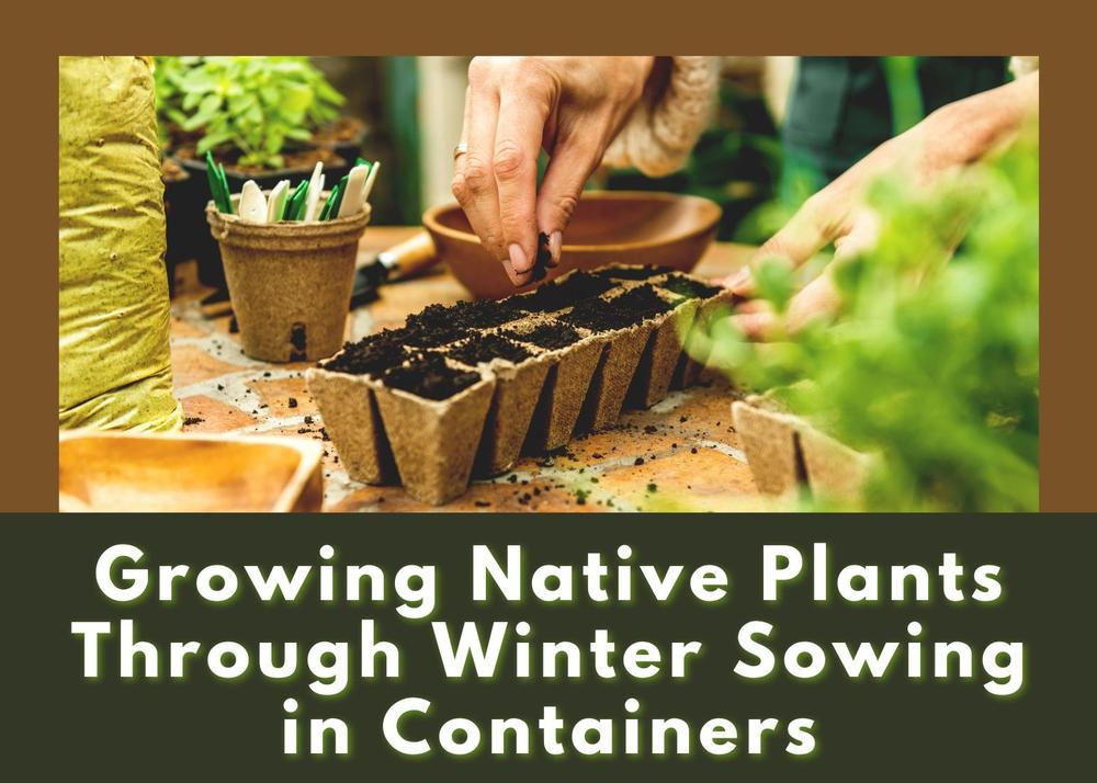 Growing Native Plants Through Winter Sowing in Containers