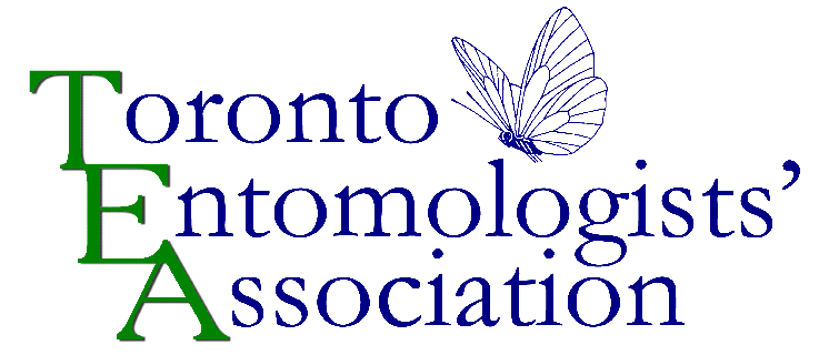 Toronto entomologists' association
